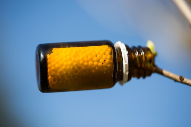 Ibogaína para álcool x drogas