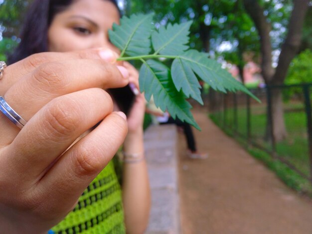 Ibogaína é legal no Brasil? Ibogaína é legal no Brasil?