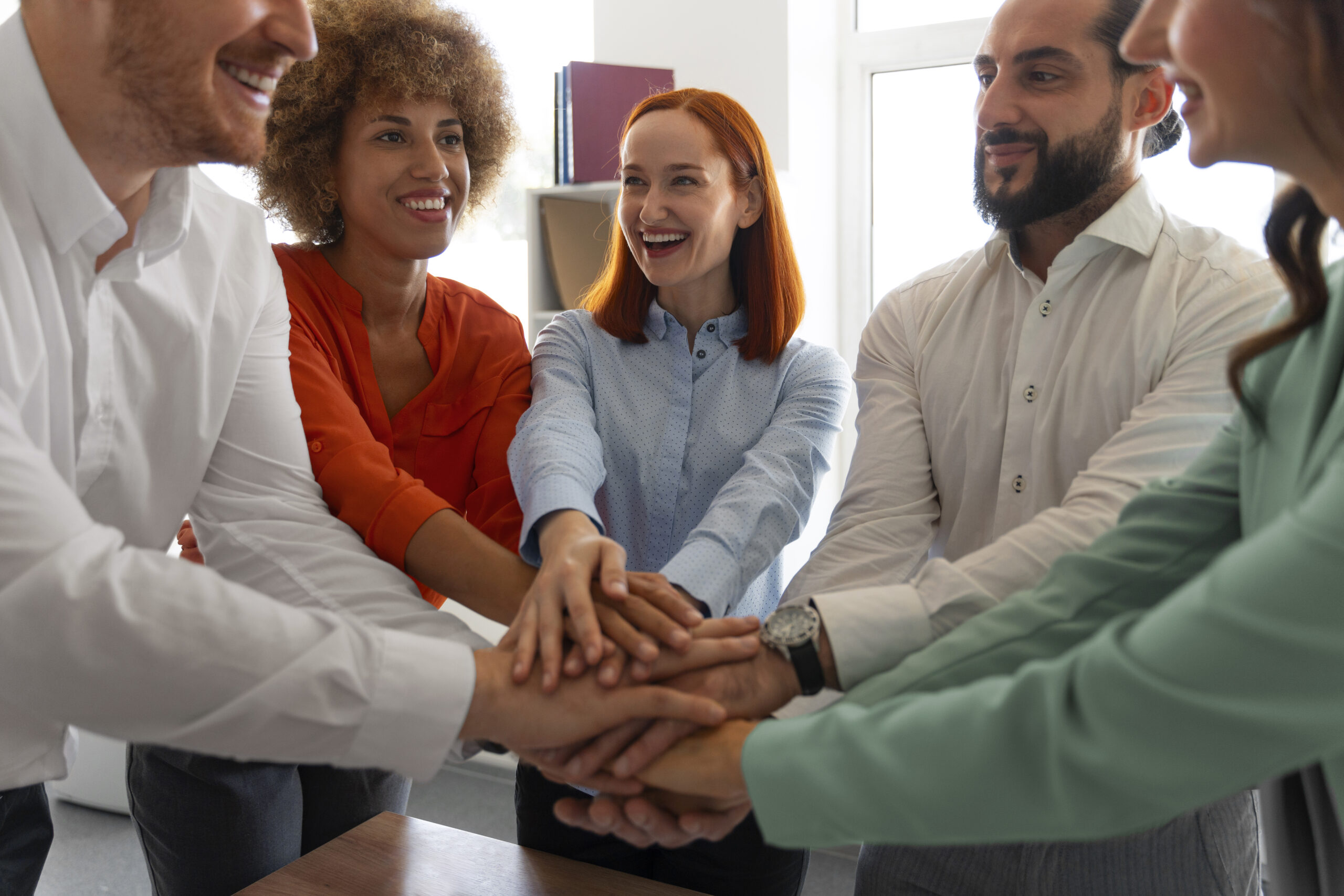 Equipe multidisciplinar integrada Equipe multidisciplinar integrada